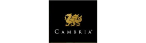 cambria transparent - Sarmazian Brothers Flooring