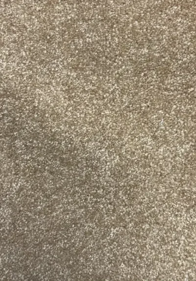 Carpet clearance